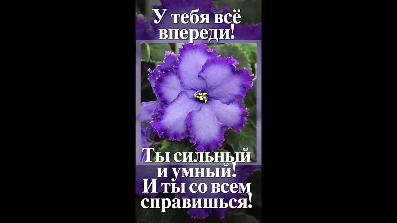Открытка с днём рождения брату: личное видео скачать