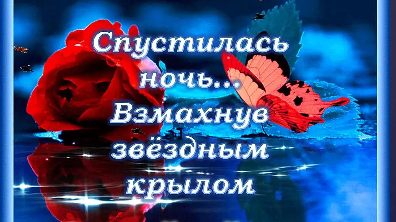 Милое пожелание спокойной ночи! Скачайте бесплатно видео открытку!