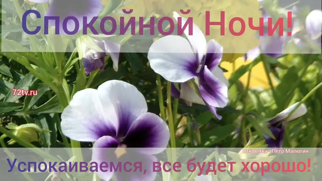 Нежная открытка "Спокойной ночи" для вашего отдыха