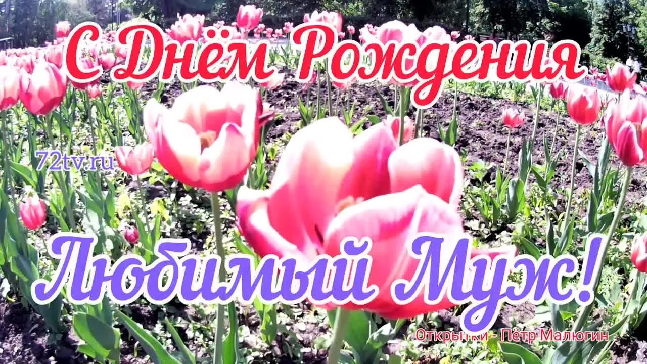 Видеооткрытка мужу на день рождения – скачать бесплатно