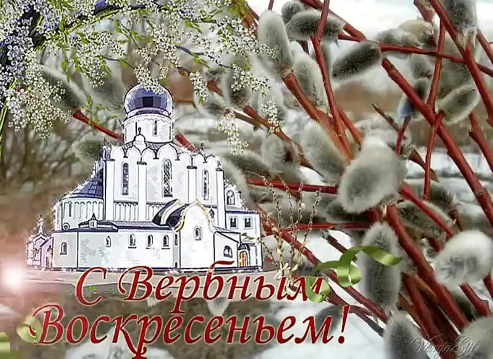 С Вербным Воскресеньем: видео поздравление
