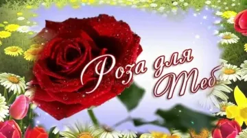 Музыкальное поздравление женщине с днем рождения